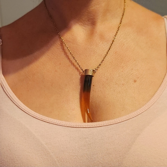 Jewelry for a real predator. Fang pendant, bracelet. - Picture 3 of 3